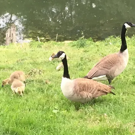 En Bord De Seine *