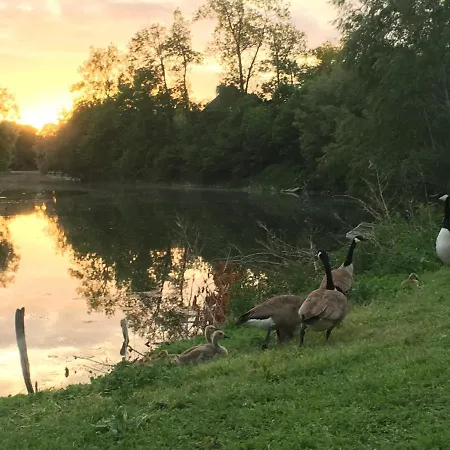 En Bord De Seine *